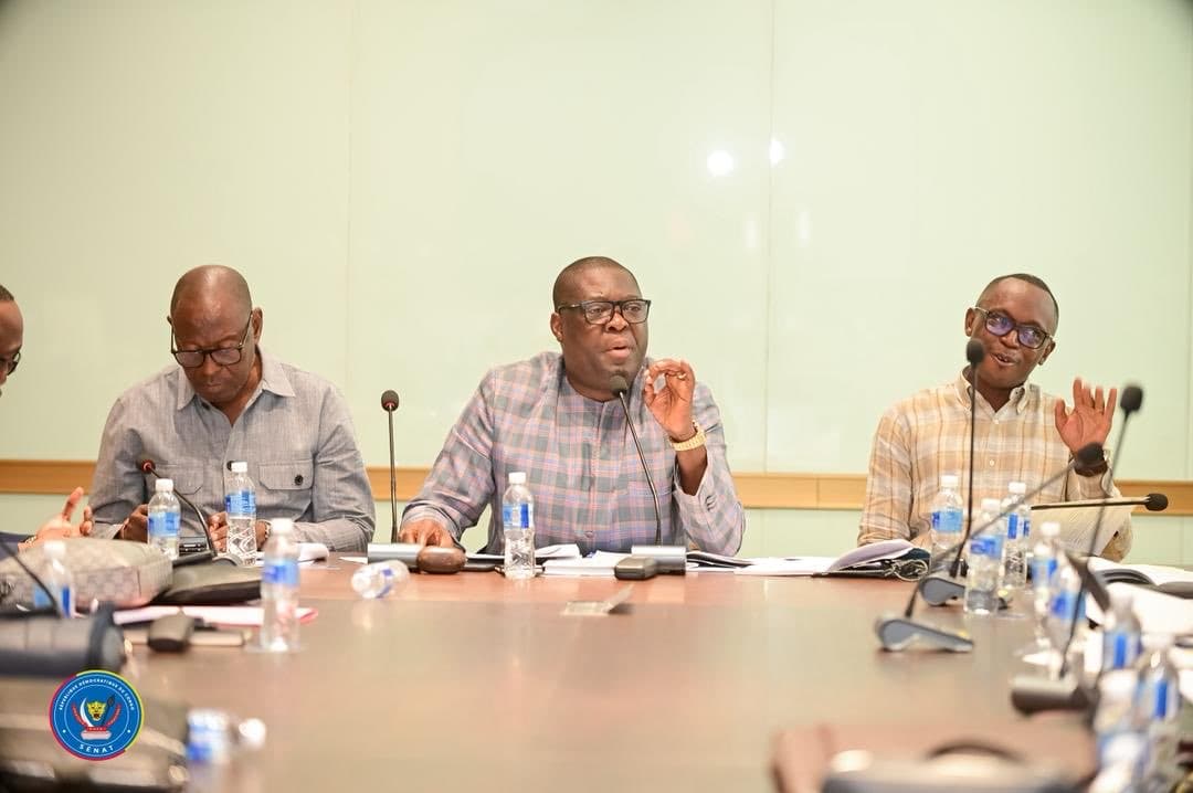 Le Sénat adopte à l'unanimité le rapport sur la loi fixant les conditions du référendum en RDC article de nouvelles politi...
