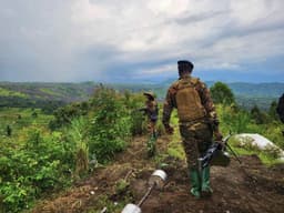 Fizi : violents affrontements dans les hauts plateaux du Sud-Kivu article de nouvelles society – Dernier article de nouvelles