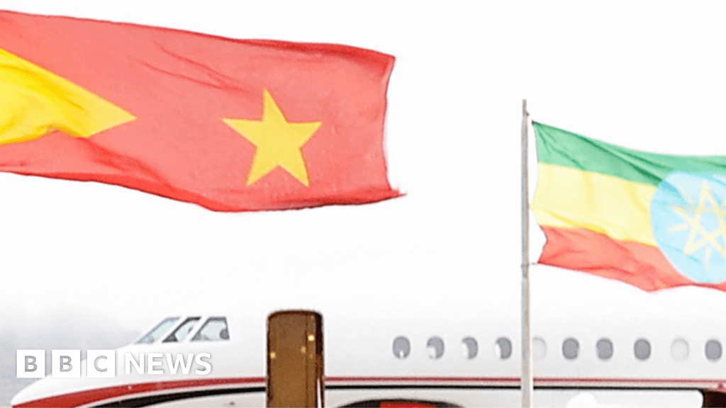 Éthiopie : L'aéroport de Mekelle au Tigré saisi par des forces locales article de nouvelles etranger – Dernier article de ...