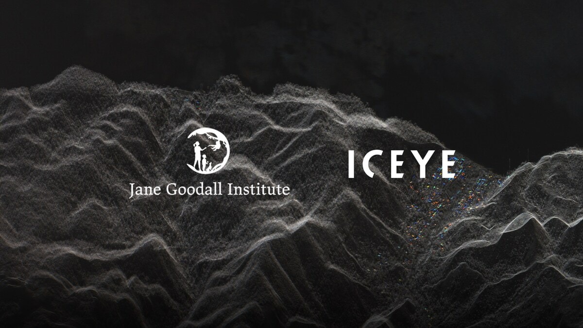 Technologie spatiale au service de la forêt congolaise : ICEYE et l'Institut Jane Goodall unissent leurs forces article de...