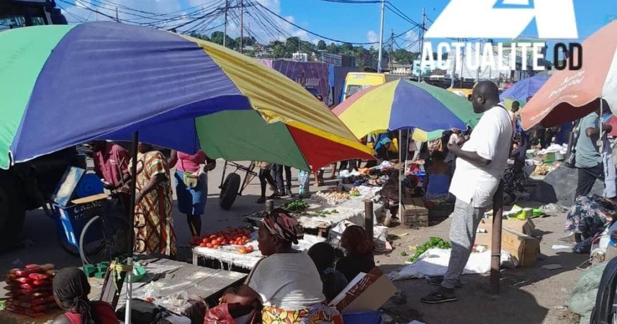 Nicolas Kazadi reconnaît un décalage entre les réalisations du gouvernement et le ressenti des Congolais article de nouvel...