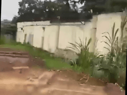 Vignette de Concession avec entrepôt 4000m² - Limete, Kinshasa 3