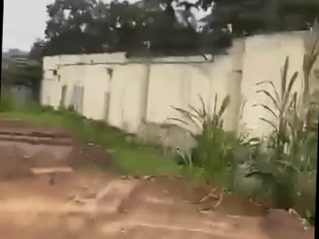 Concession avec entrepôt 4000m² - Limete, Kinshasa in Kinshasa mediacongo 4000m² https://www.mediacongo.net/annonce-mediac...