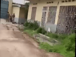 Vignette de Concession avec entrepôt 4000m² - Limete, Kinshasa 6