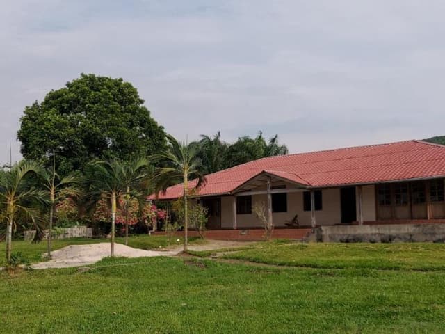 Ferme de 200 hectares avec cité touristique et plantations - Maluku Kimpoko, Kinshasa in Kinshasa mediacongo 200 hectares ...