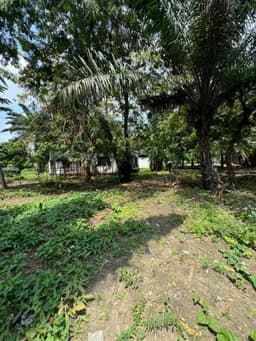 Vignette de Grande concession cadastrée de 4 hectares avec entrepôts - Limete, Kinshasa 1