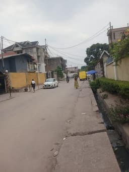 Vignette de Grande parcelle 1 250 m² avec bureaux sur avenue asphaltée - Limete Salongo, Kinshasa 1