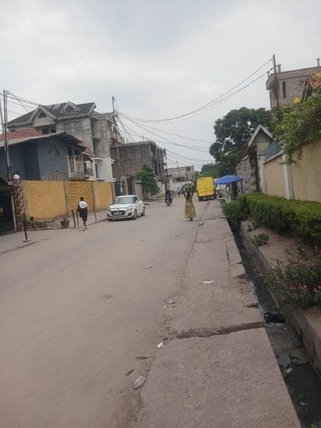 Grande parcelle 1 250 m² avec bureaux sur avenue asphaltée - Limete Salongo, Kinshasa in Kinshasa mediacongo 1250m² (25x50...