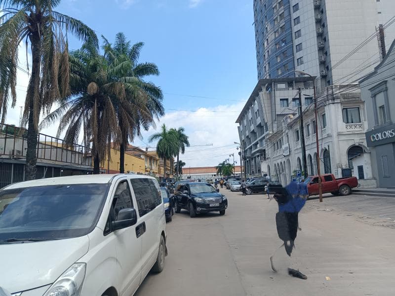 Immeuble R+2 avec local commercial et 2 appartements - Gombe, Kinshasa à Kinshasa 4 4 200m² (8x25m) mediacongo https://www...