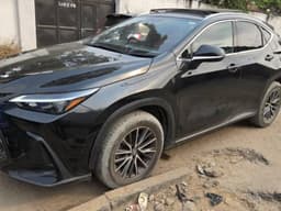 Vignette de Lexus NX 350h+ 2024 - Hybride, toit panoramique - Kasa-Vubu 8