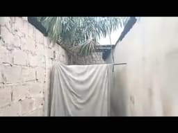 Vignette de Parcelle 20m × 25m avec documents en ordre - Ngiri-Ngiri, Kinshasa 5