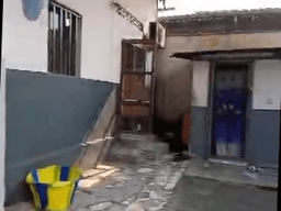 Vignette de Parcelle 375m² bien située à Matonge - Kalamu, Kinshasa 3