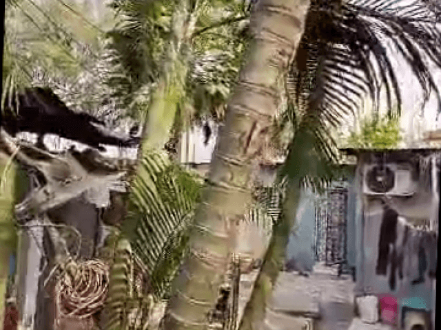 Parcelle 375m² bien située à Matonge - Kalamu, Kinshasa in Kinshasa mediacongo 375m² (15x25m) https://www.mediacongo.net/a...