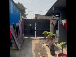 Vignette de Parcelle 500m² sur grande avenue - Kasa-Vubu, Kinshasa 7