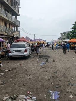 Vignette de Parcelle 500m² sur grande avenue - Kasa-Vubu, Kinshasa 1