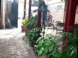 Vignette de Parcelle 750m² sur macadam - Kasa-Vubu, Kinshasa 3
