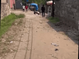 Vignette de Parcelle avec 3 appartements à Macampagne - Ngaliema, Kinshasa 8