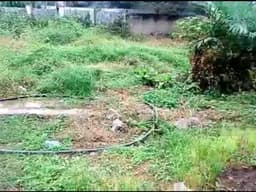 Vignette de Terrain 1 600 m² en Zone A - Gombe, Kinshasa 5