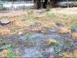 Vignette de Terrain 1 600 m² en Zone A - Gombe, Kinshasa 3