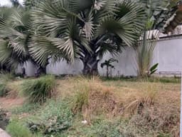 Vignette de Villa de construction belge 5 chambres sur 1 870 m² - Gombe, Kinshasa 2