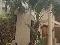 Vignette de Villa de prestige 4 salons avec piscine et sauna - Ma Campagne, Ngaliema 3