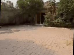 Vignette de Villa de standing 5 chambres avec piscine - Gombe, Kinshasa 2