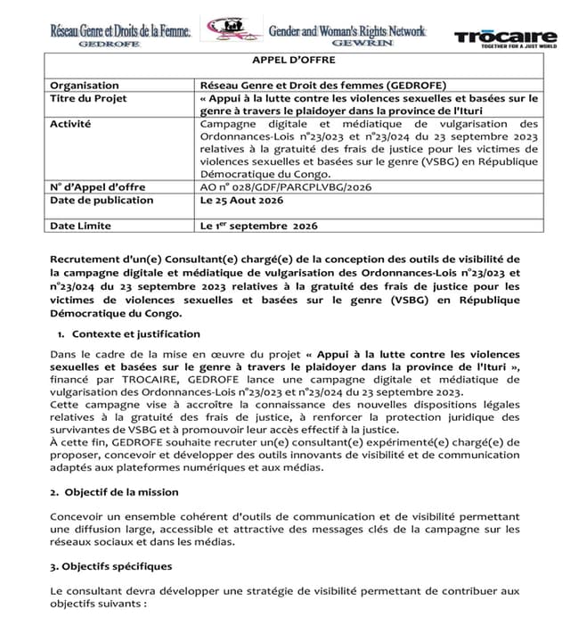 Consultant(e) en outils de visibilité – Campagne digitale et médiatique | Kinshasa