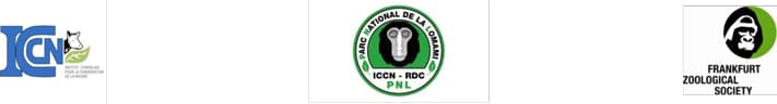 Responsable de Programme et Directeur de Site – Parc National de la Lomami, Kindu