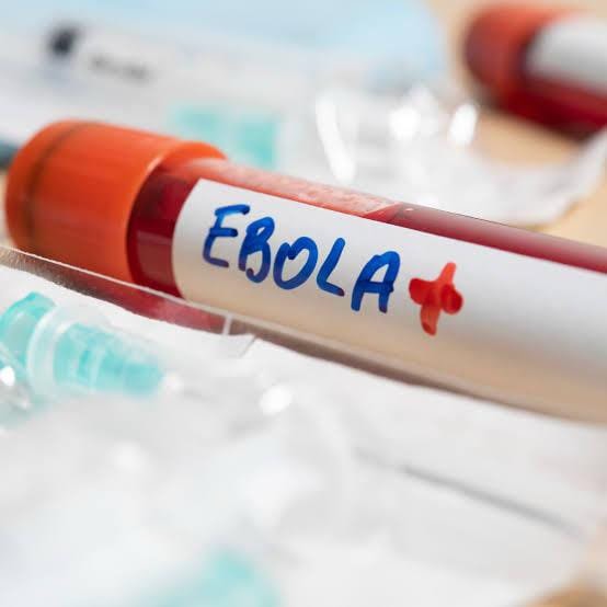 Ebola : six provinces touchées en RDC, l'épidémie s'étend au-delà de son foyer initial article de nouvelles society – Dern...